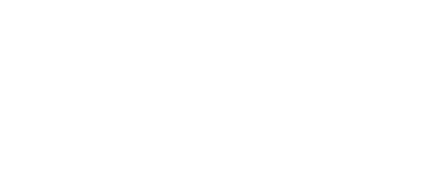 Code Stallion